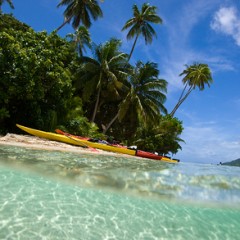 Snorkeling activities