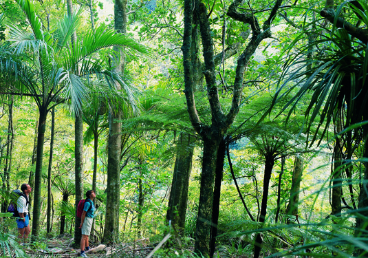 Walking Aotearoa 1 ok