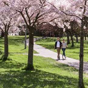 Best time to visit New Zealand summer2