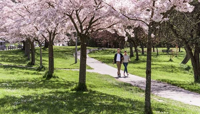 Best time to visit New Zealand summer2