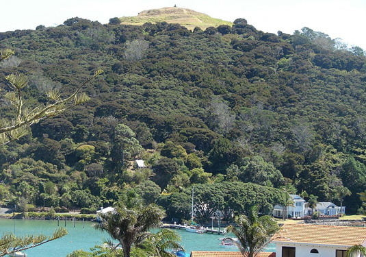 Mangonui ok