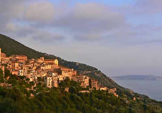 Pisciotta