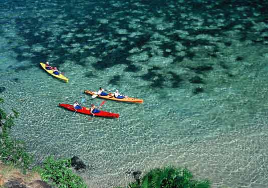 kayakers Grove