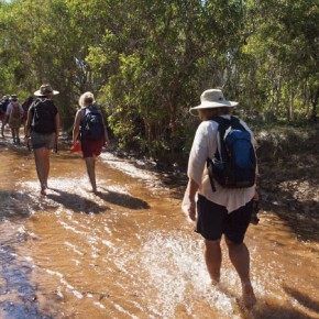 western aus feature